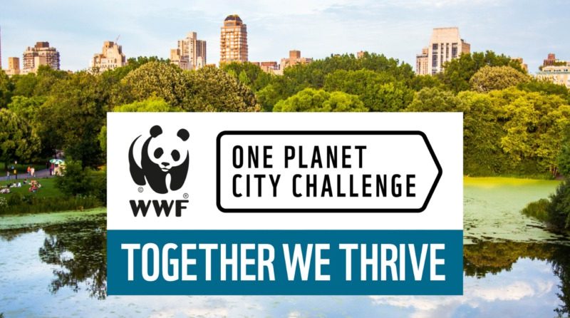 The One Planet City Challenge is a biennial project that celebrates the measures taken by cities across the globe to combat climate change and reduce their carbon footprints. Banner Background Image © Unsplash.com